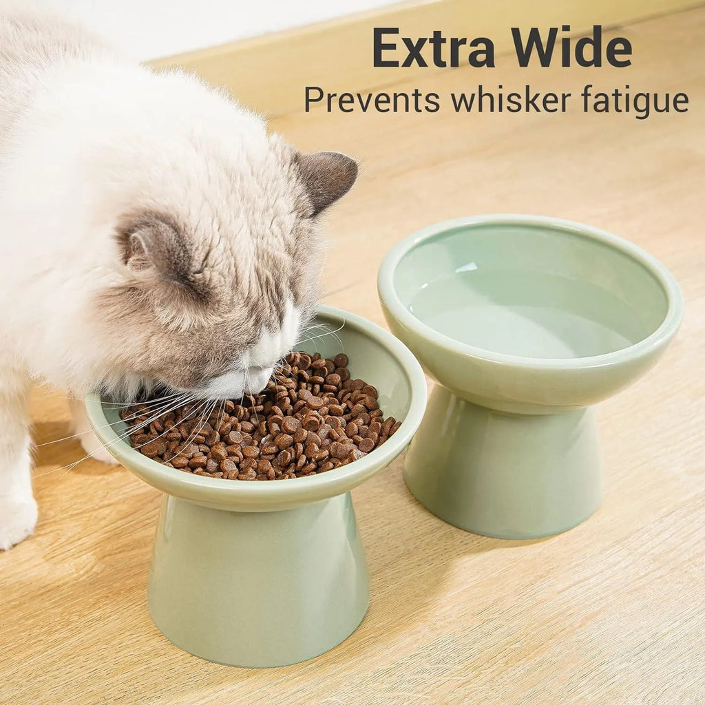 Blue ceramic elevated cat bowl with wide shallow dish and 12cm height for whisker-friendly feeding