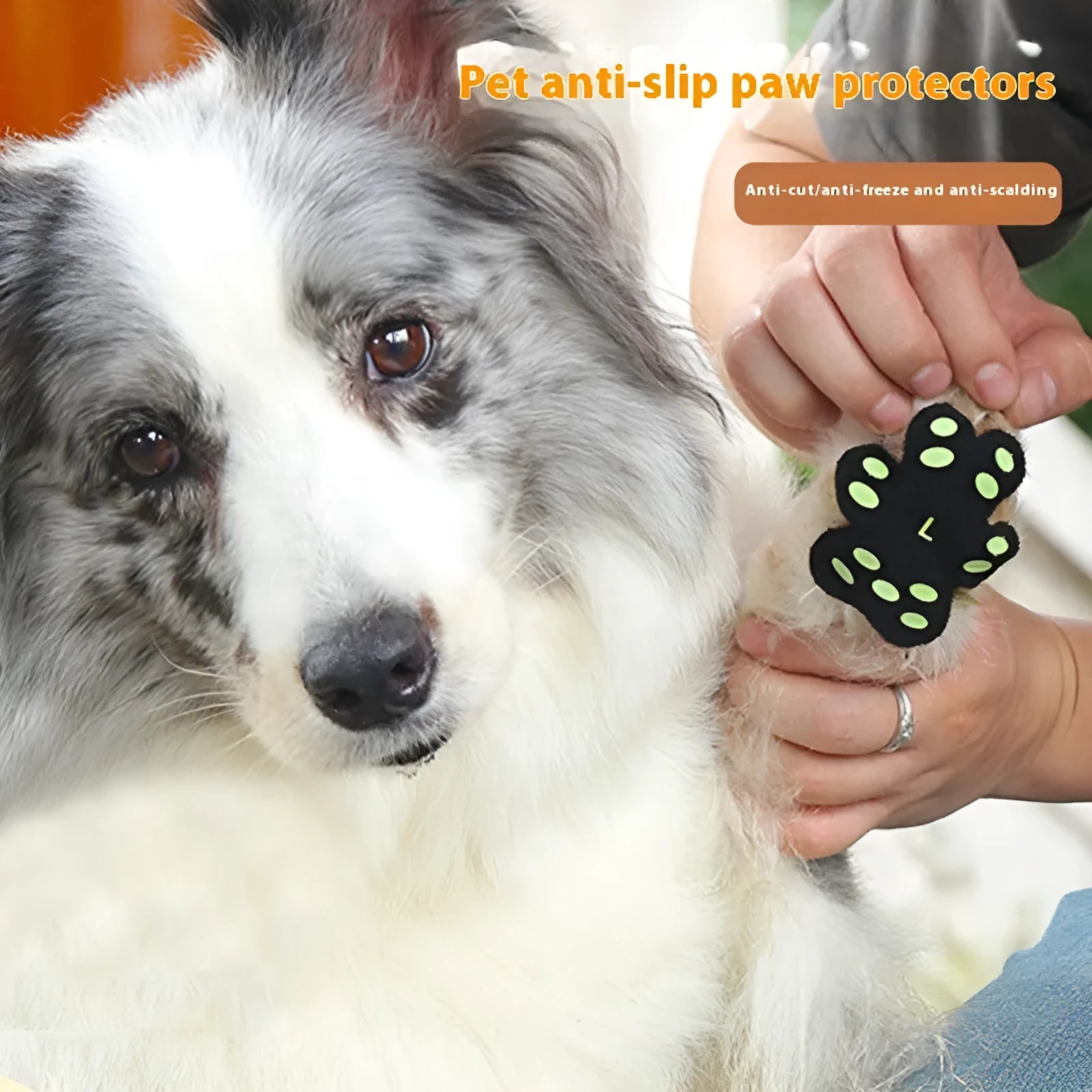 Breathable invisible claw pad footstickers for dog paw protection in S and M sizes