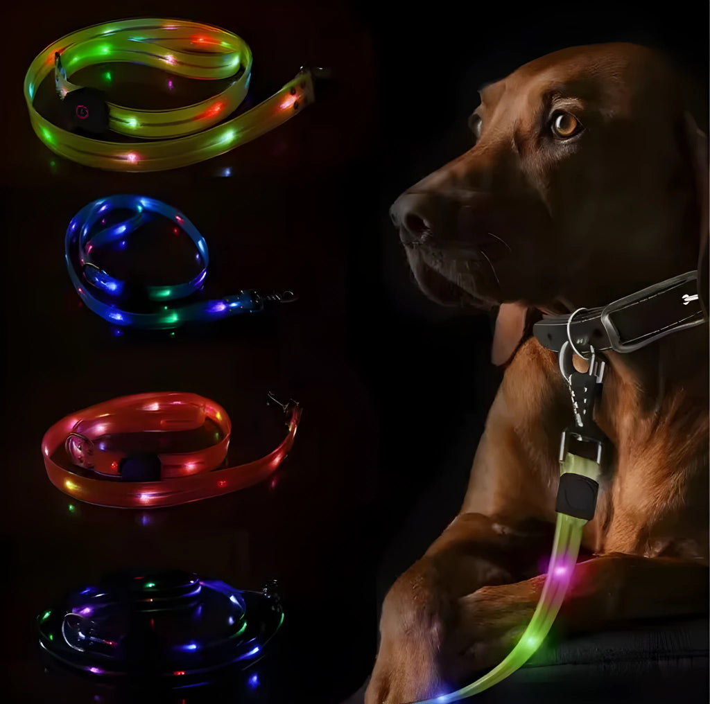 Luminous dog collar and colourful PVC pet leash in fluorescent green, showing hand-held rope section.
