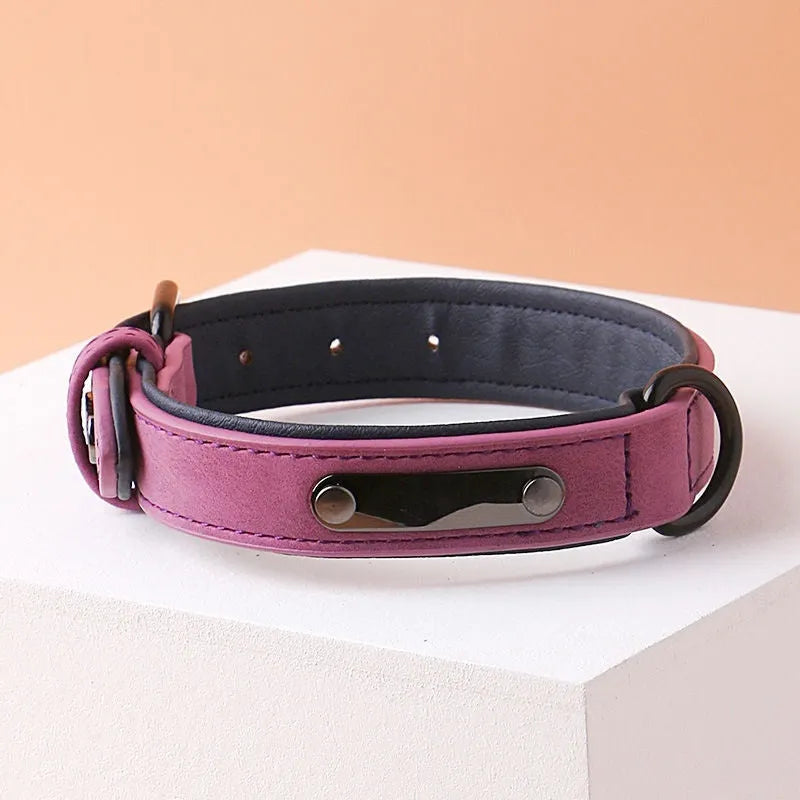 Adjustable dog collar on a white background showing PU front and microfiber back, in a choice of five colours.