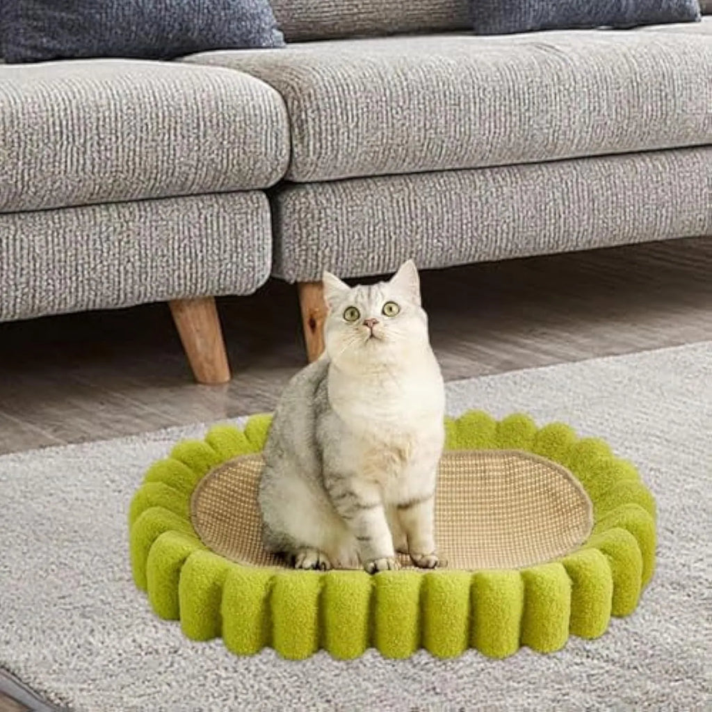 Green oval cat scratcher bed made from sisal, showing its bowl shape and textured scratching surface.