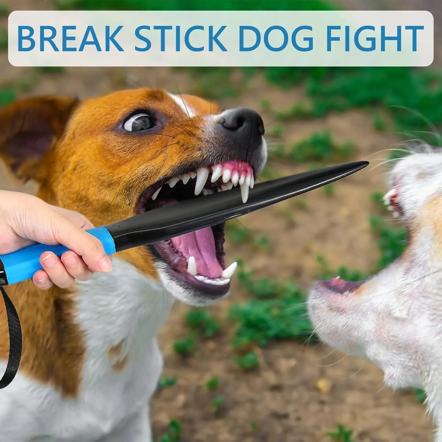 Blue handled nylon dog training bite stick measuring 35 cm for small medium dogs