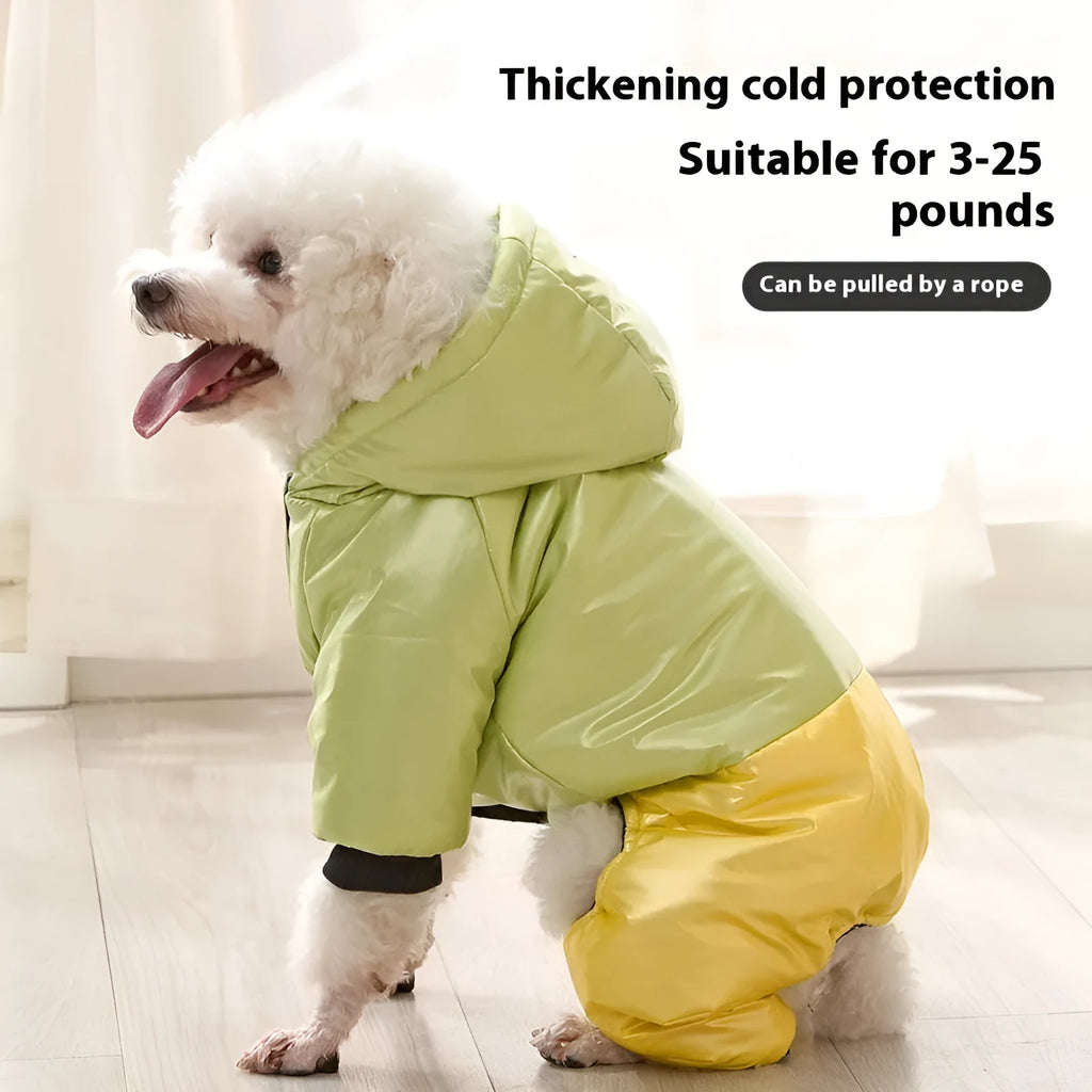 Green waterproof cotton-padded dog coat with four-legged design shown on medium-sized dog