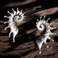 Three-dimensional matte conch stud earrings with irregular geometric shapes