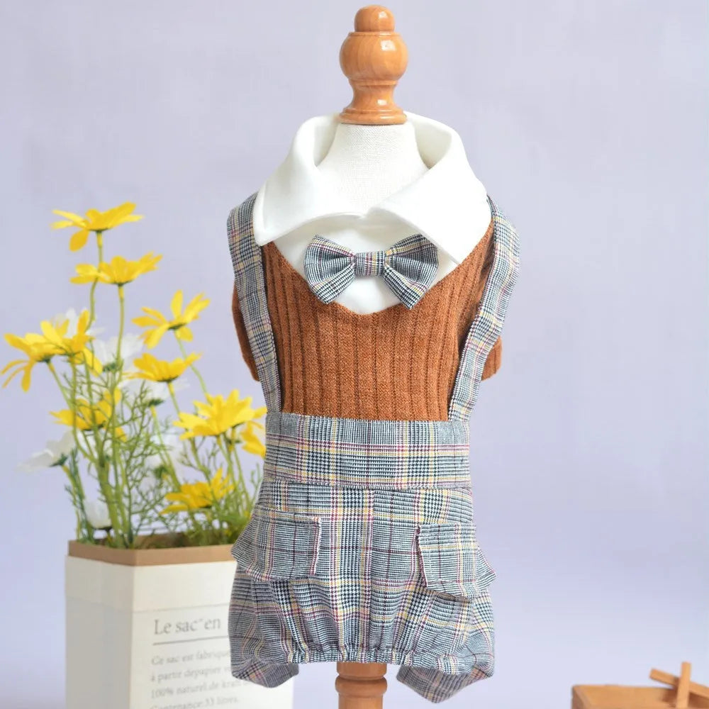 Orange and dark blue cotton dog shirt suit for small dogs, available in sizes S to 2XL.