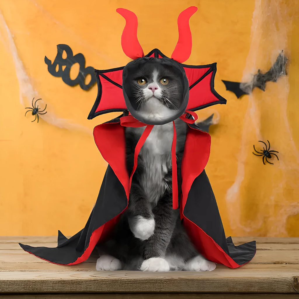 Black vampire cloak and hat Halloween costume for small pets on a dog or cat
