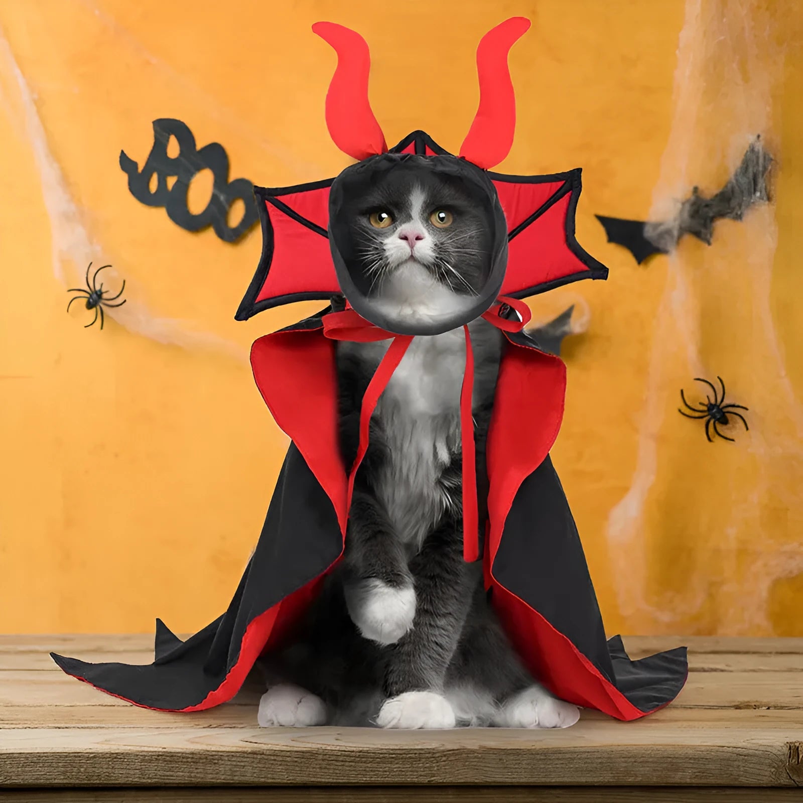 Black vampire cloak and hat Halloween costume for small pets on a dog or cat