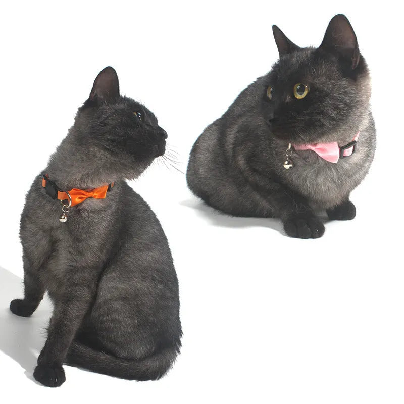 Adjustable striped nylon cat collar with a small bell, shown in multiple colour options on a white background.