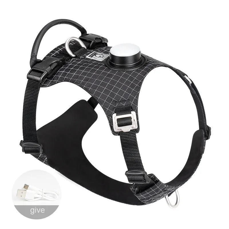 Adjustable dog chest harness with LED night light attachment in multiple colour options