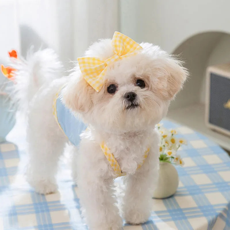 Small dog wearing heart relief texture bow suspenders vest in Bondi Blue colour with matching hairband