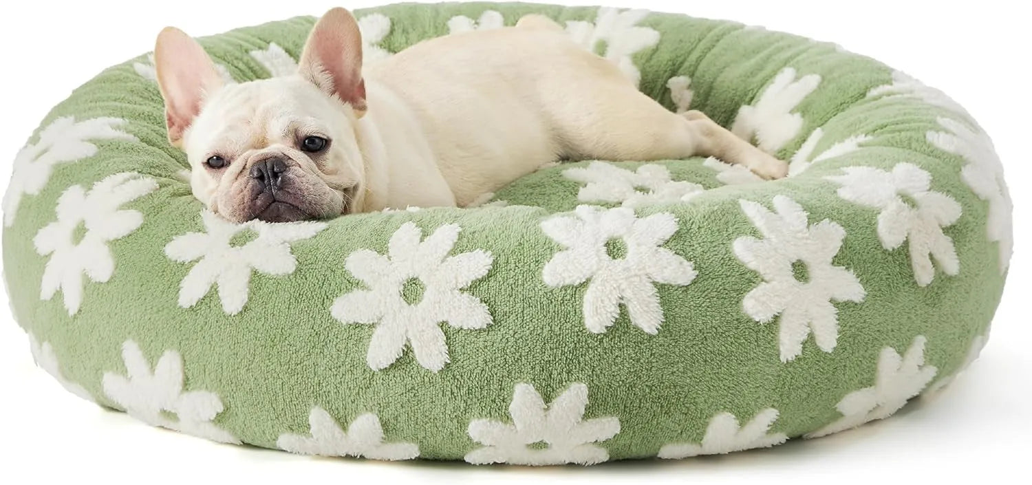 Round plastic dog bed with a blue and white plaid fabric cover, shown on a wooden floor.