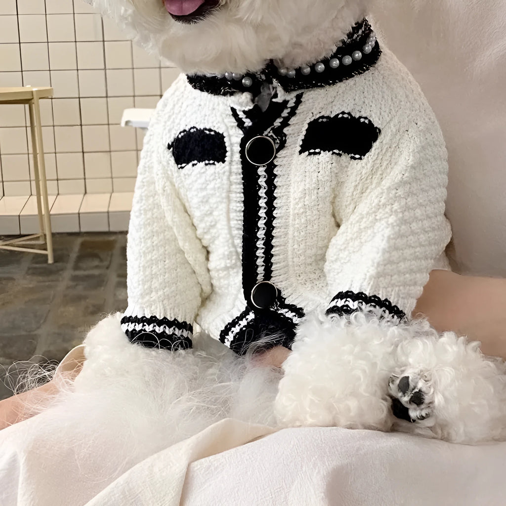 Korean style white dog sweater with pearl collar for small dogs showing princess design and size options