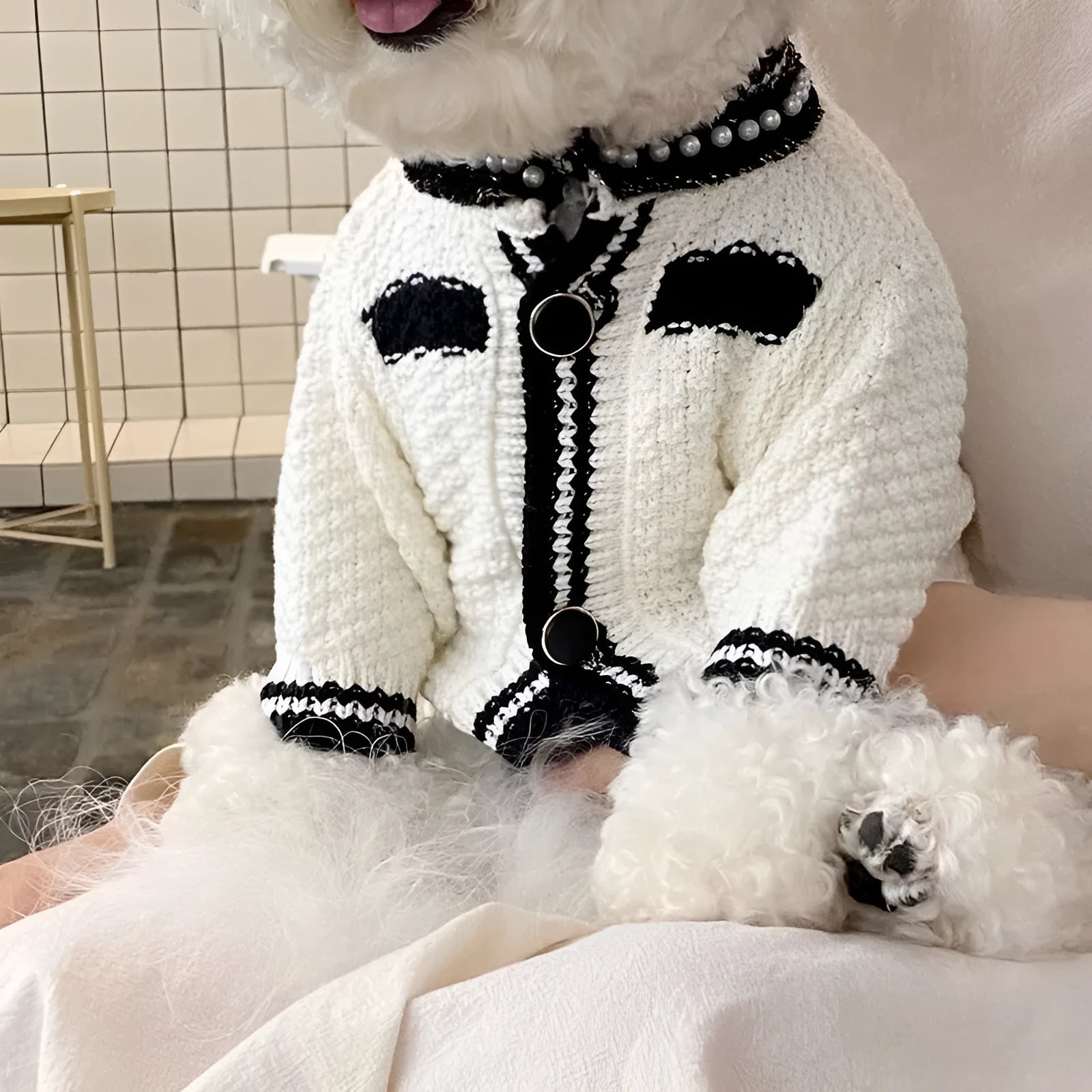 Korean style white dog sweater with pearl collar for small dogs showing princess design and size options