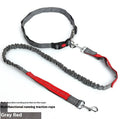 Two-tone reflective dog leash with elastic sling section for outdoor running