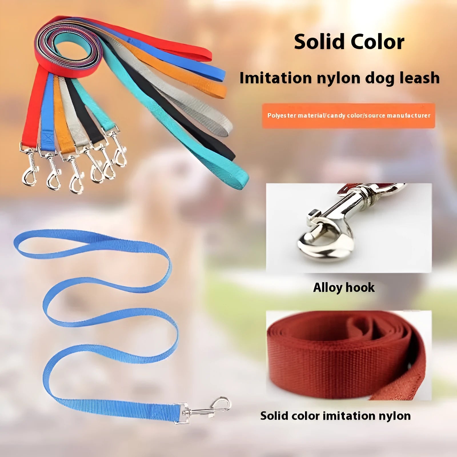 Solid colour polyester dog training lead with integrated hand-holding rope grip shown in blue.