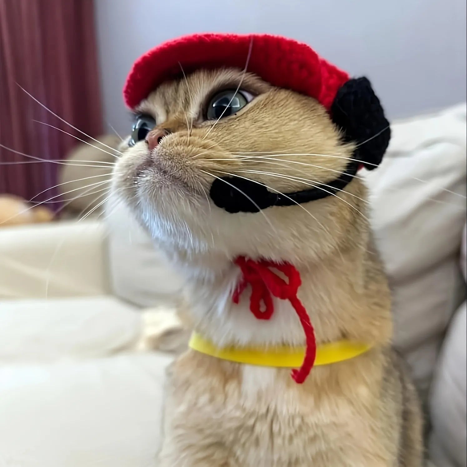 Handmade cotton knitted chef costume for small to medium cats and dogs