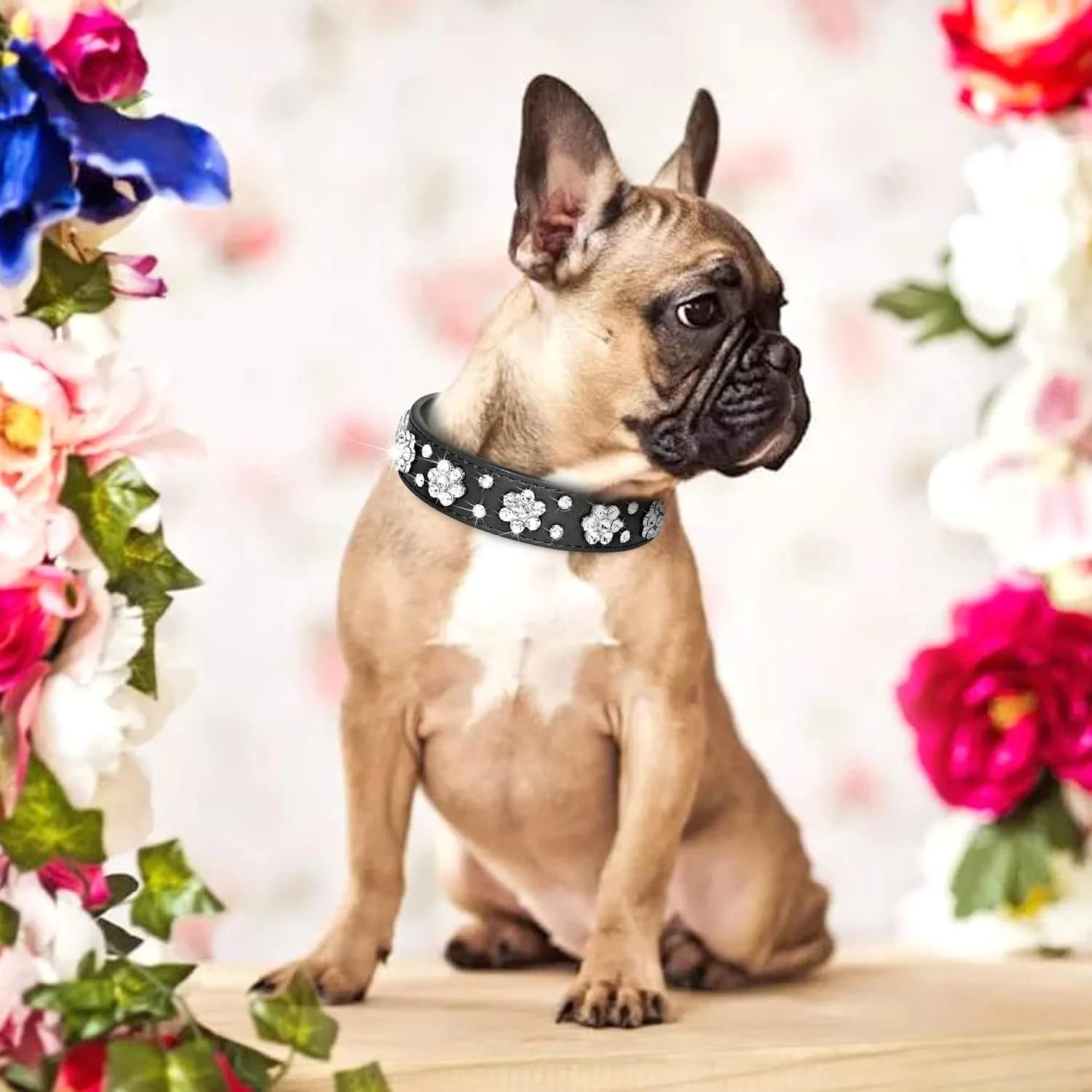 Decorative black PU leather dog collar with studded rhinestone flower pattern and silver metal D-ring.