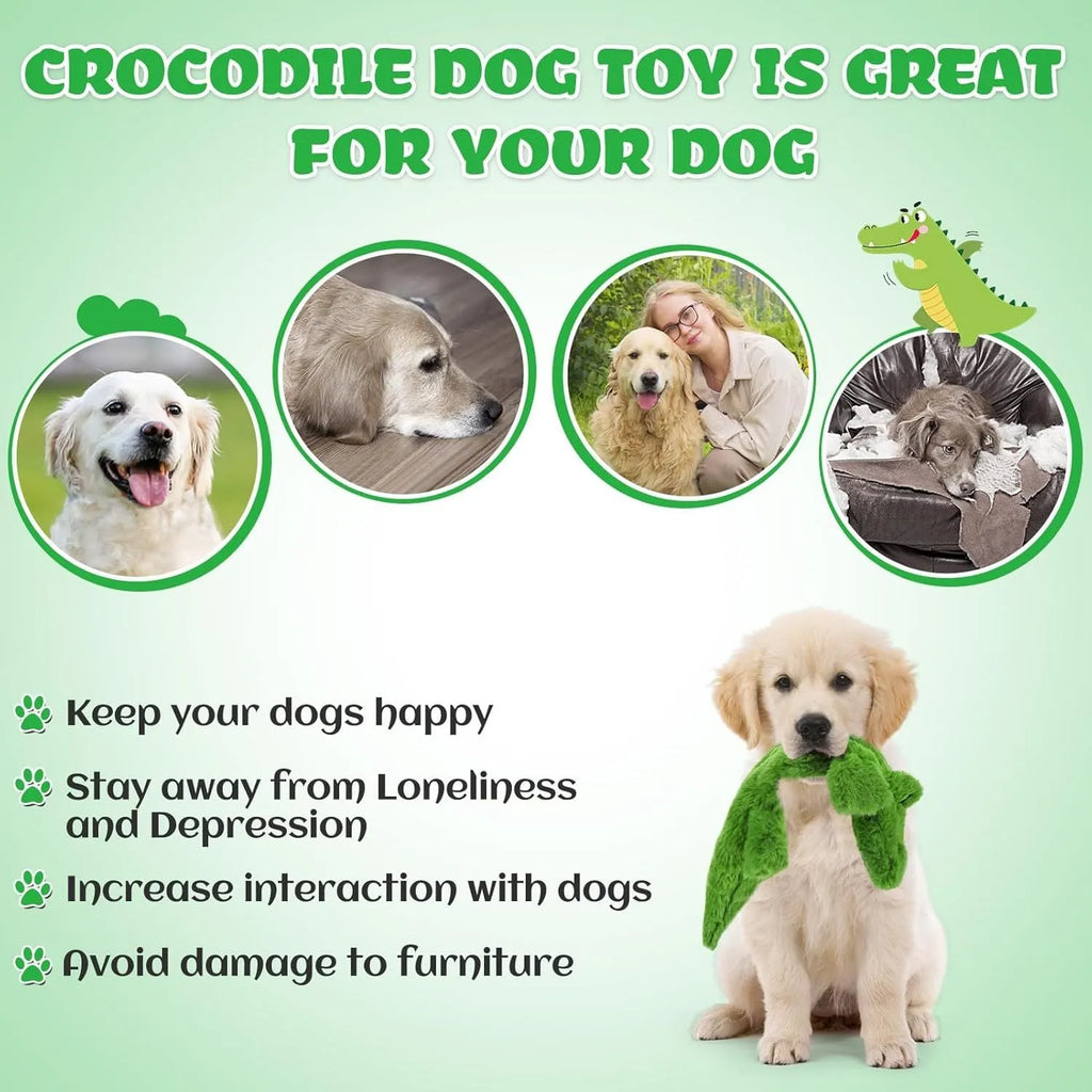 Green crocodile-shaped plush dog toy with no stuffing, for aggressive chewers