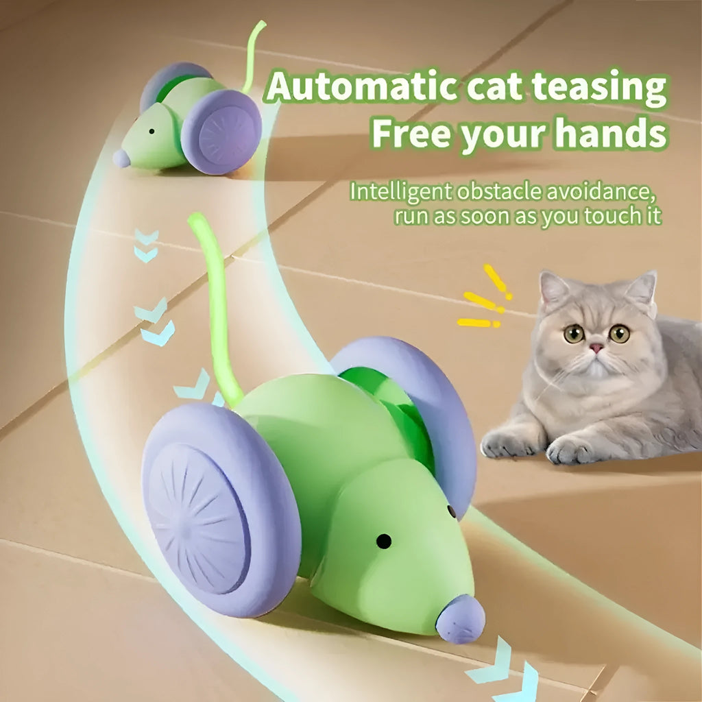 Interactive cat toy electric mouse car in green and white with obstacle avoidance on a living room floor