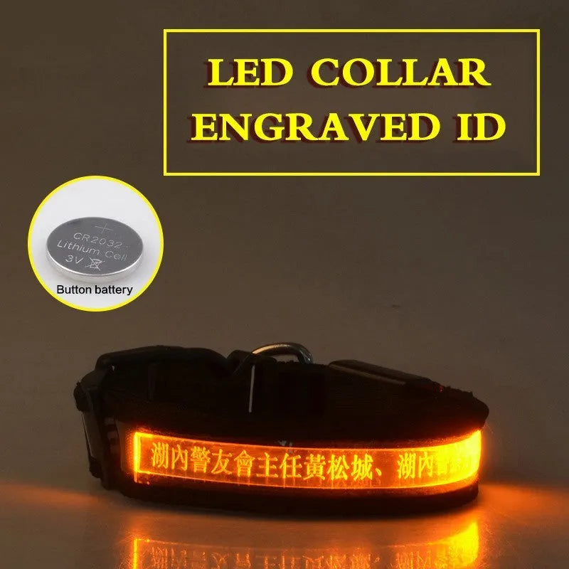Pet glow collar with radium carved lettering in multiple colours and sizes for dogs