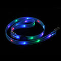 Luminous dog collar and colourful PVC pet leash in fluorescent green, showing hand-held rope section.