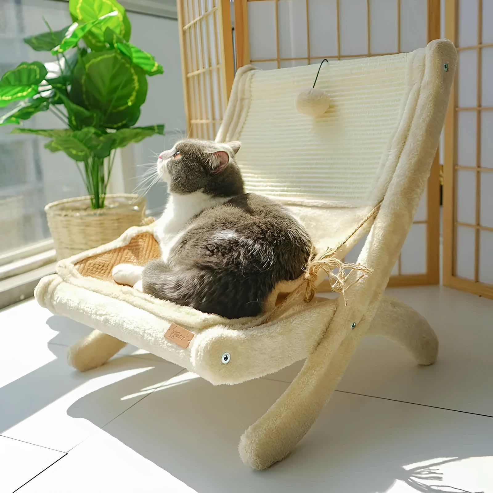 Pet cat sofa bed sunbathing chair with sisal and wood construction, beige with mat on back, for cats under 20 catties