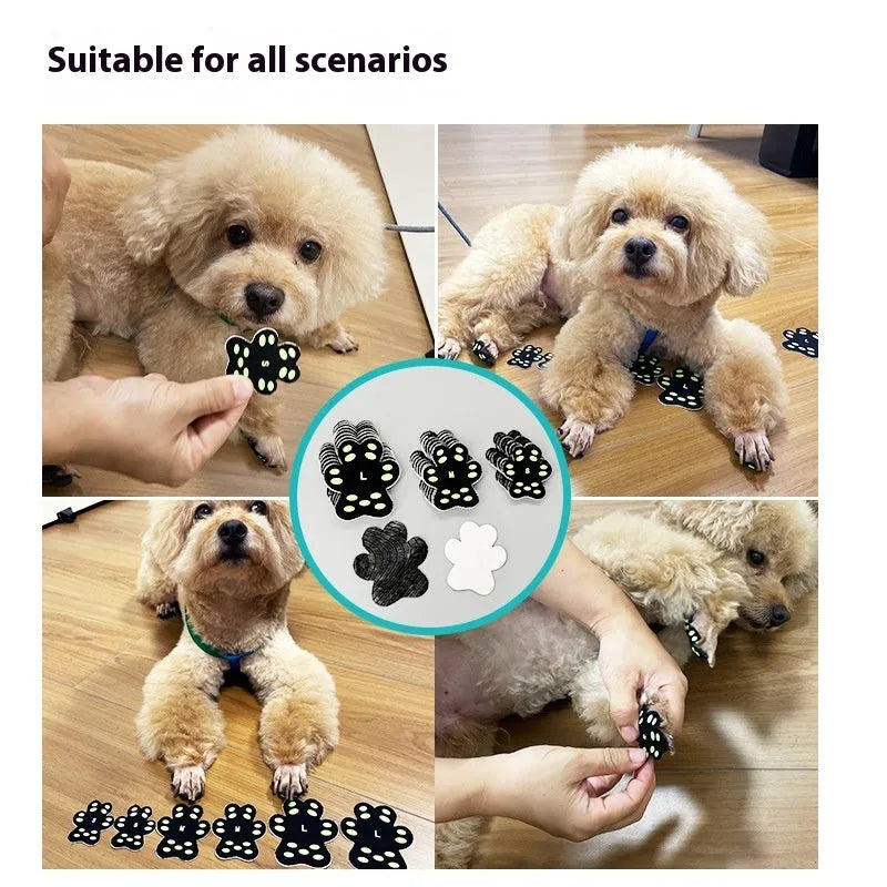 Breathable invisible claw pad footstickers for dog paw protection in S and M sizes