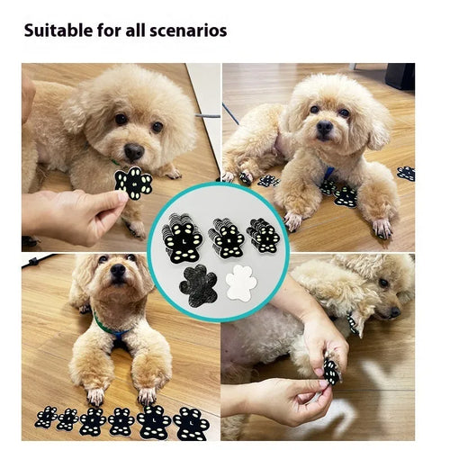 Breathable invisible claw pad footstickers for dog paw protection in S and M sizes