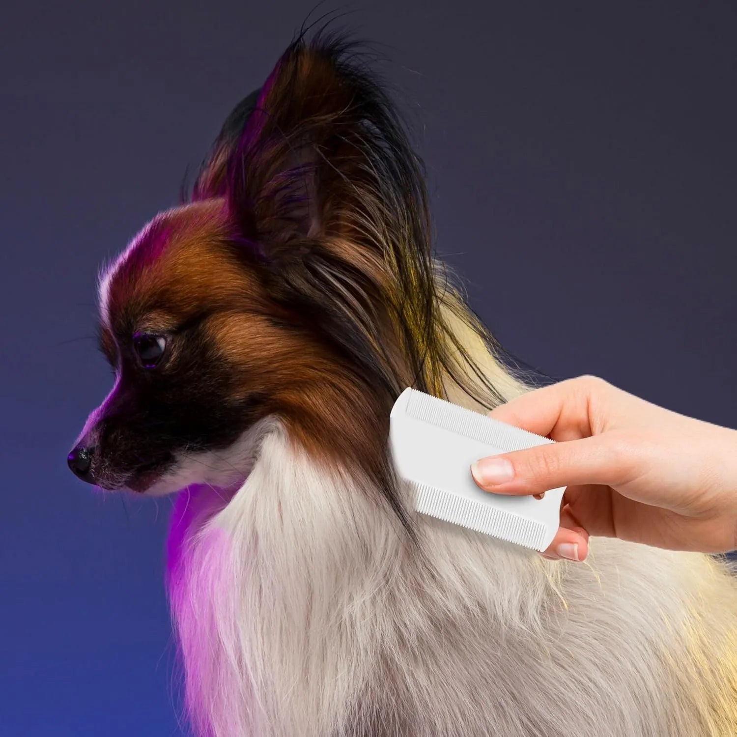 A double-sided plastic flea comb for pets with dense teeth, shown with its dimensions of 0.85 cm by 5 cm.