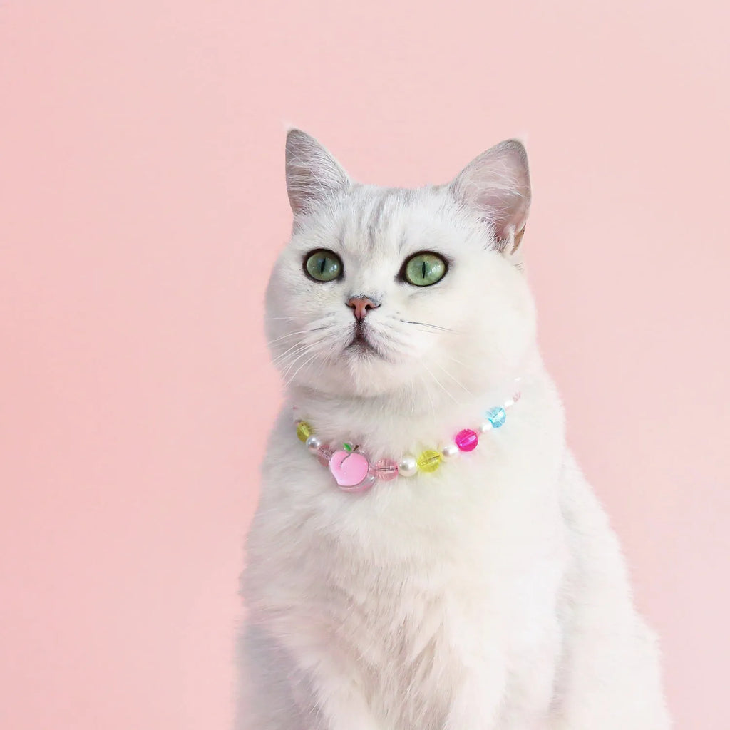 Colourful plastic bead necklace for small pets in rainbow, peach, or small flower patterns with adjustable sizing